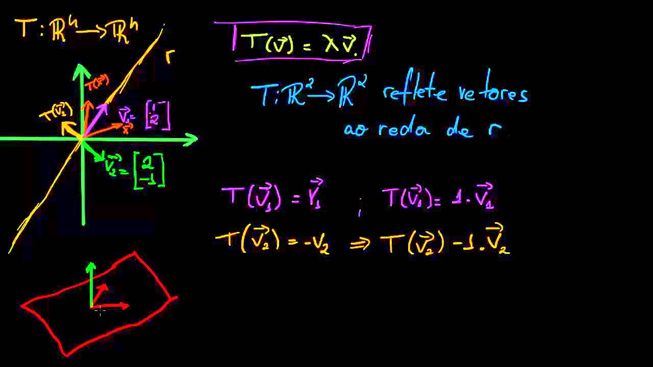 Introdução a auto-valores e auto-vetores