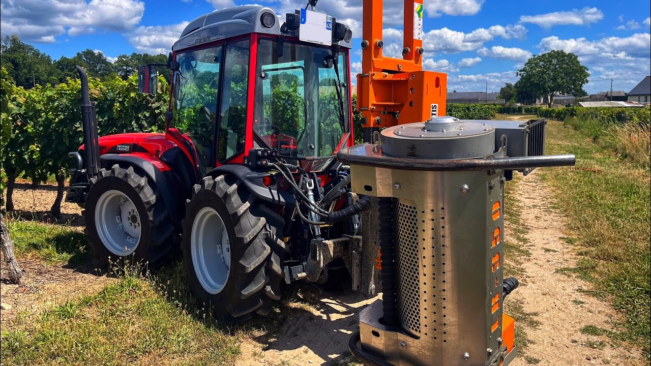 Travaux d’effeuillage vignes - ANTONIO CARRARO SR 7600 - PROVITIS