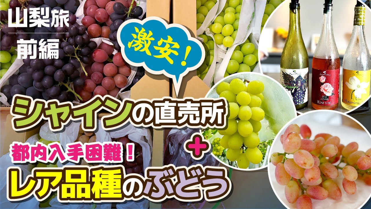 【300円シャインマスカット！？】激安直売店＋レア品種のぶどう購入、山梨旅 前編