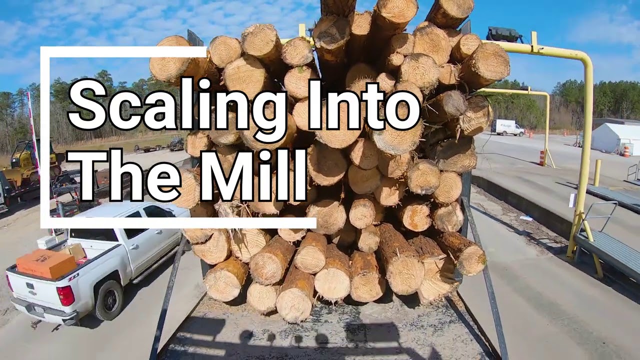 How Does A Log Truck Get Unloaded, Let’s Haul A Load To The Mill!
