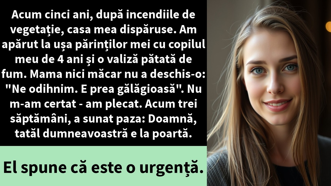 Acum cinci ani, după incendiile de vegetație, casa mea dispăruse. Am apărut la ușa părinților mei