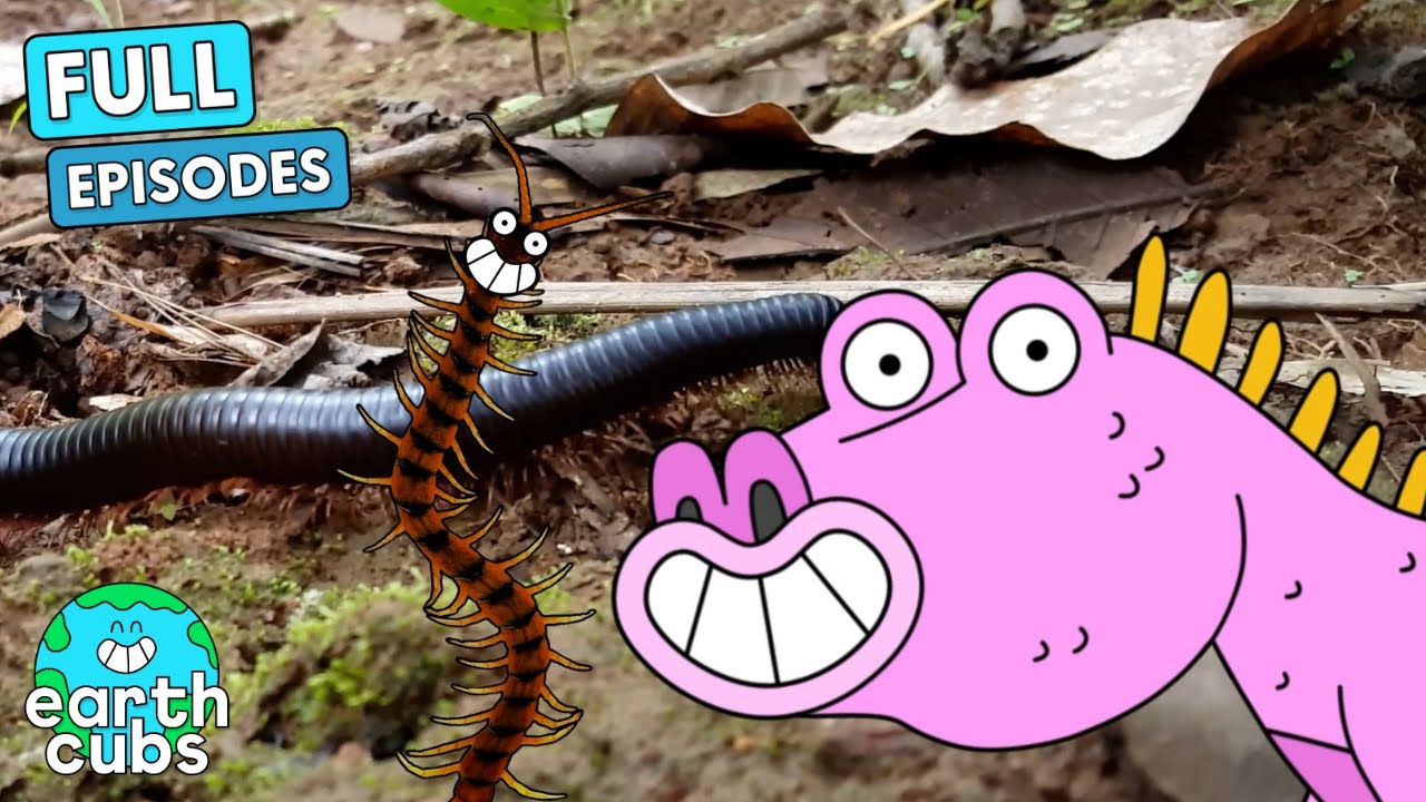 Centipedes: Nature's Creepy-Crawly Speedsters! 💨🐛 | Earth Cubs