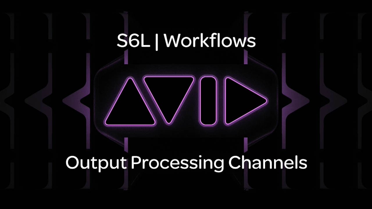 VENUE | S6L — Output Processing Channels