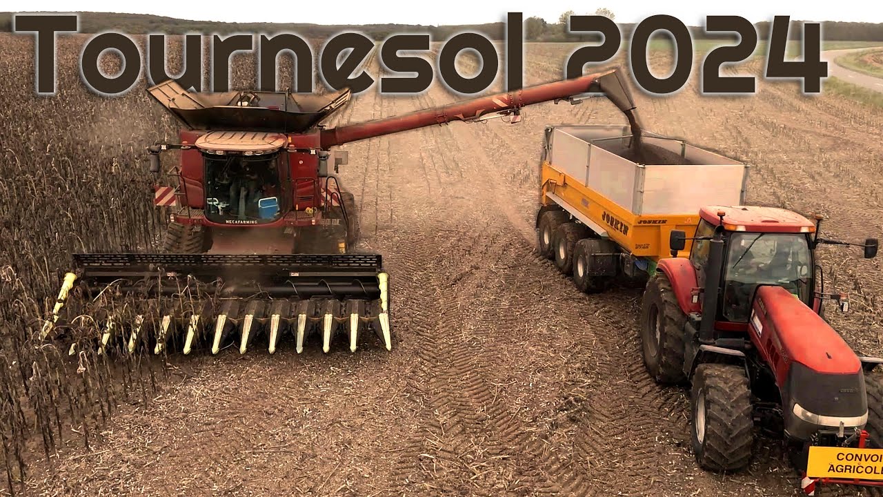 TOURNESOL | CASE IH 9250 | MOISSON 2024