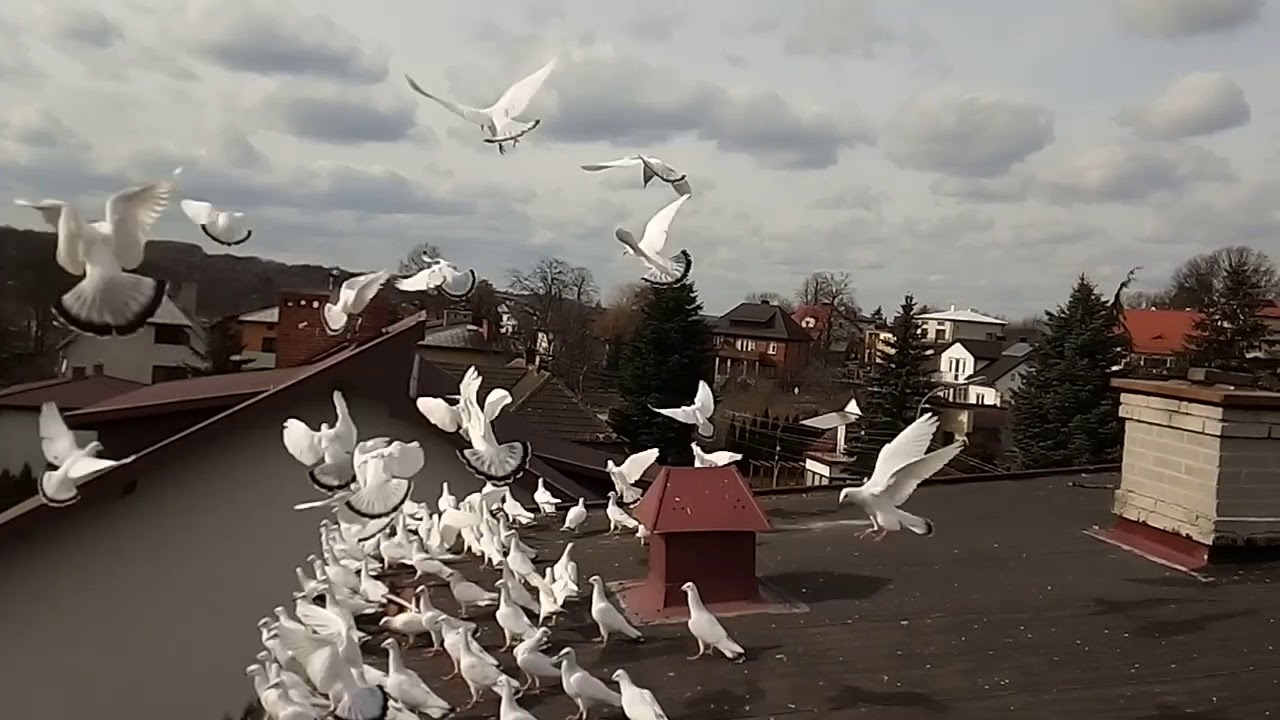 Po dwóch godzinach  lotu trochę przerwy