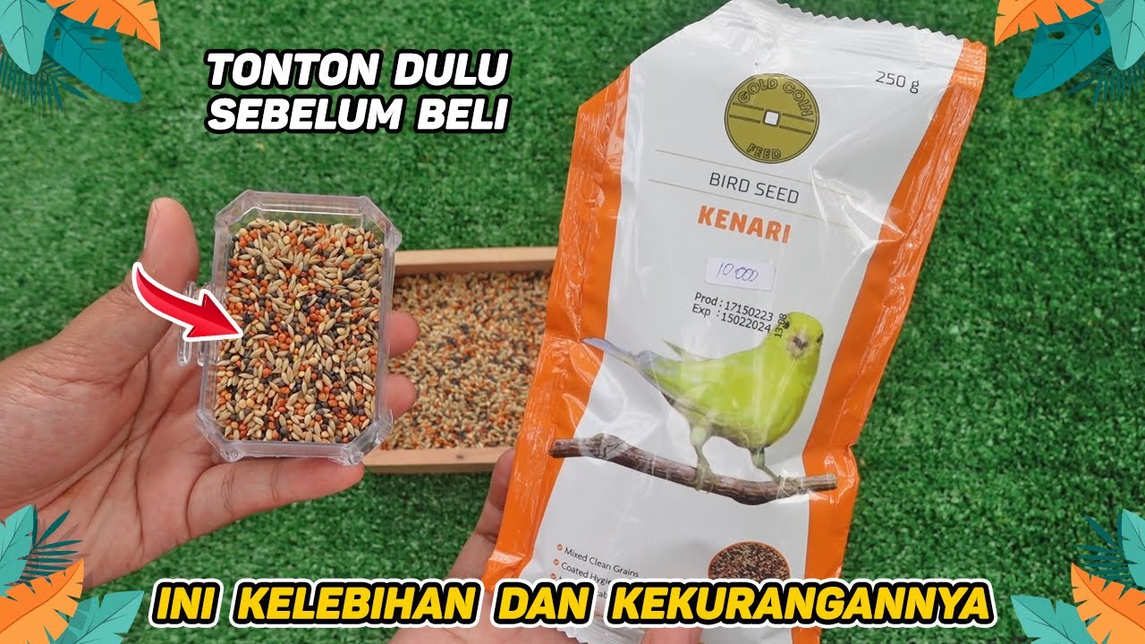 Review Jujur Gold Coin Kenari. Pakan Terbaik untuk Burung Kenari?