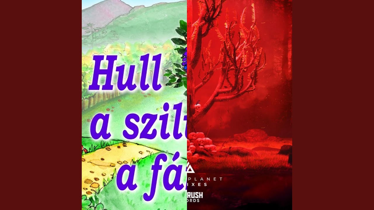 Hull a Szilva a F&aacute;r&oacute;l X Shelter (OG Nixin Edit) (Mashup)