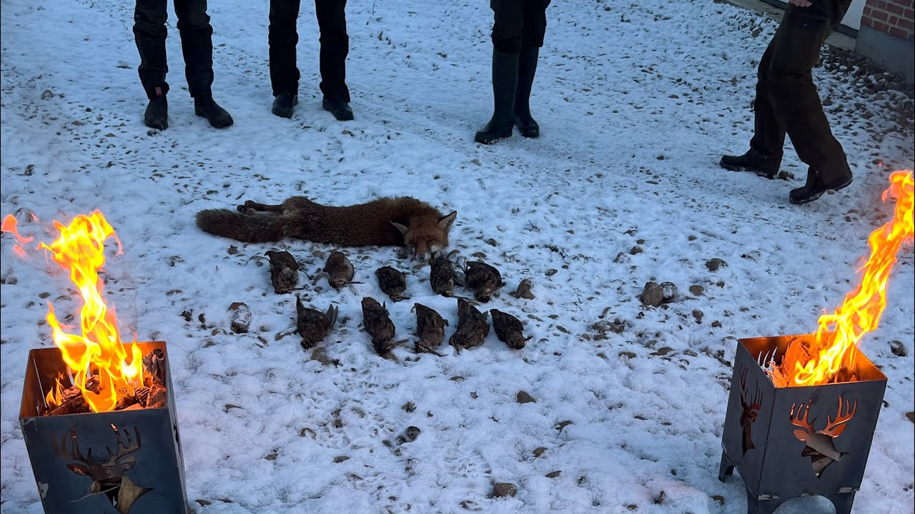 F&aelig;lles jagt, Hunting, Jagd, Jakt