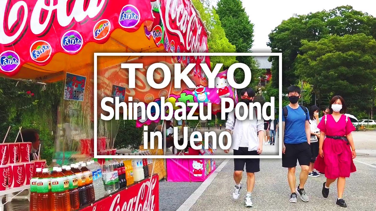 [Tokyo Walk] Shinobazu Pond in Ueno, enjoying the lotus (August,2021)