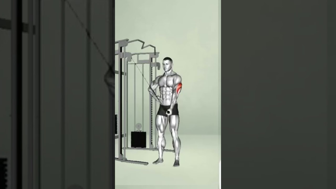 Упражнения для трицепса.#bodybuilding #motivation #sportastic #sportik574 #sportistics #sportlife