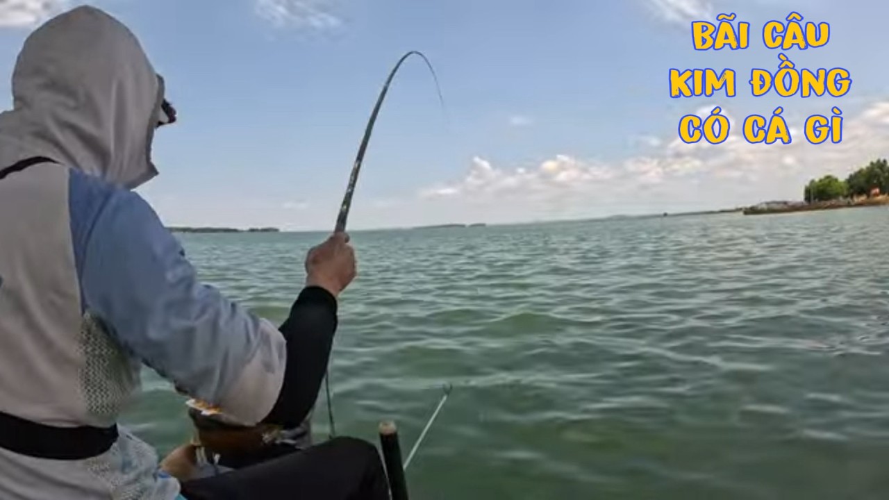 Bãi Câu Kim Đồng Có Cá Gì