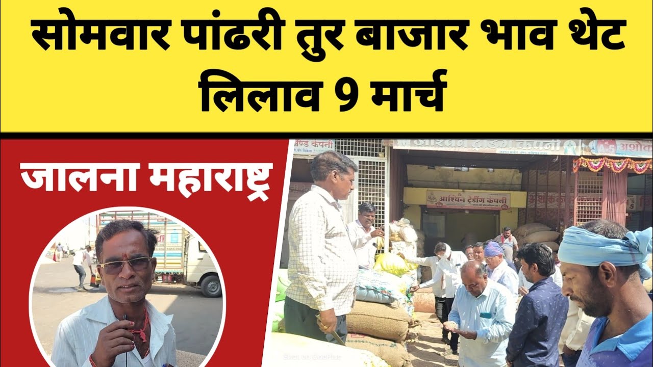 सोमवार पांढरी तुर बाजार भाव थेट लिलाव 9 मार्च जालना महाराष्ट्र || तुरीला काय मिळतो भाव
