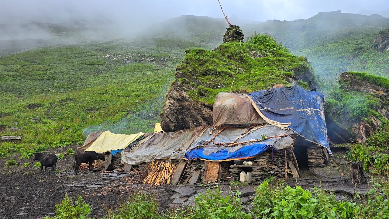Nepali Beautiful Village Life | Village During The Rainy Season । Compilation Video Shepherd Life