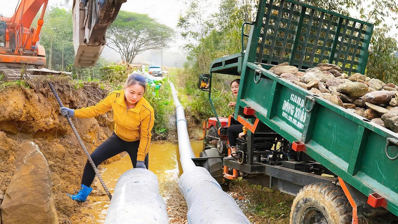 TIMELAPSE: Using Truck to Transport Plywood from Lumber Mill and Sewer Pipes | Daily Farm Life