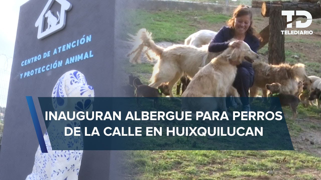 Inauguran el primer albergue para perros en situación de calle en Huixquilucan