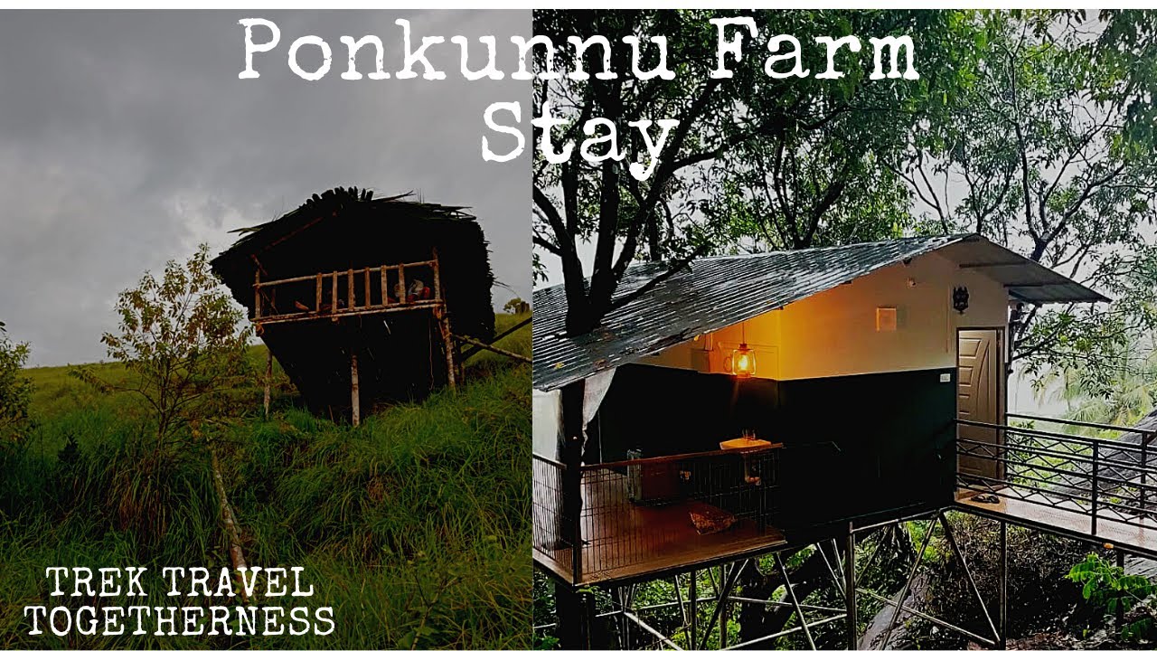 Ponkunnu Farm Stay Ep 1 | Trek Travel Togetherness
