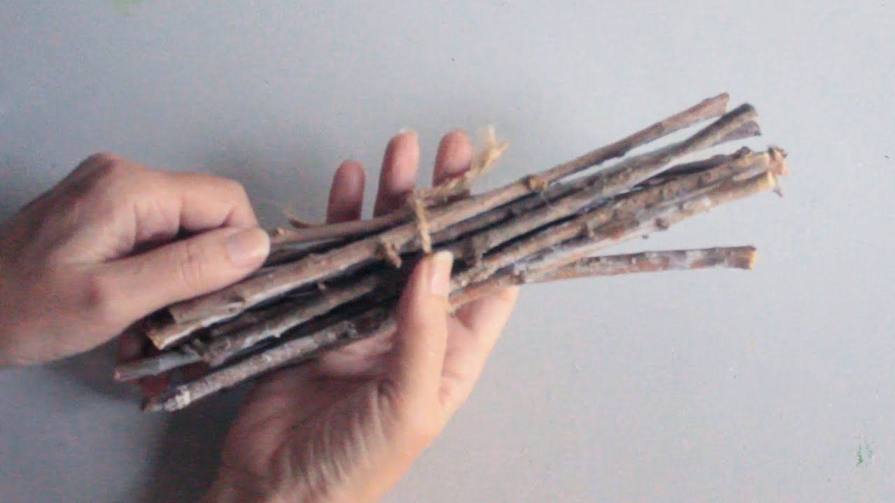 DIY - IDEAS with TREE BRANCHES ♻ EASY CRAFTS 🌼 RECYCLING IDEAS - CRAFTS and RECYCLING