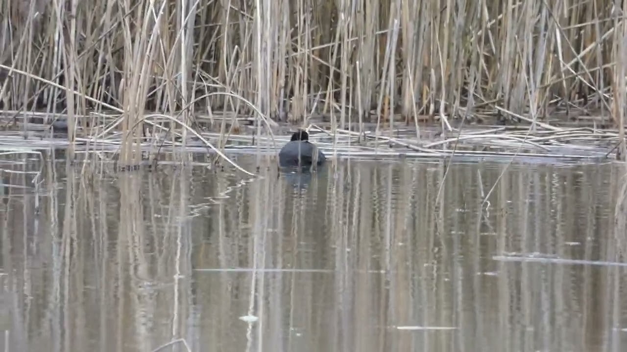 Wiosenne spojrzenie cz.  1