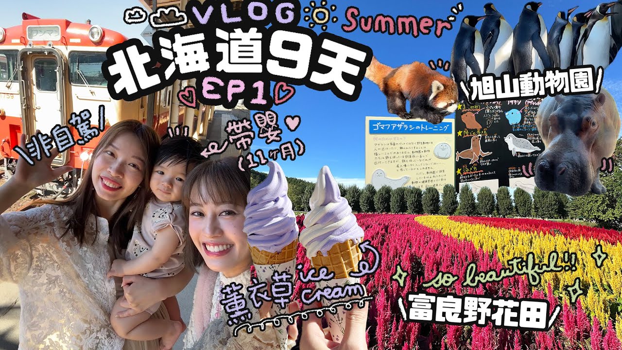 非自駕帶嬰北海道旅行！♡9天8夜去哪裡？交通順利嗎？♡富良野花田、旭山動物園♡夏天的北海道EP1｜Cynbunny｜