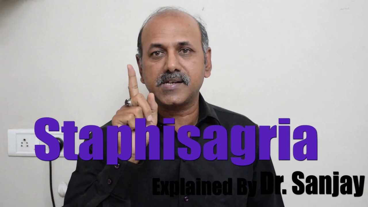 Dignified Staphisagria Explained by Dr.Sanjay