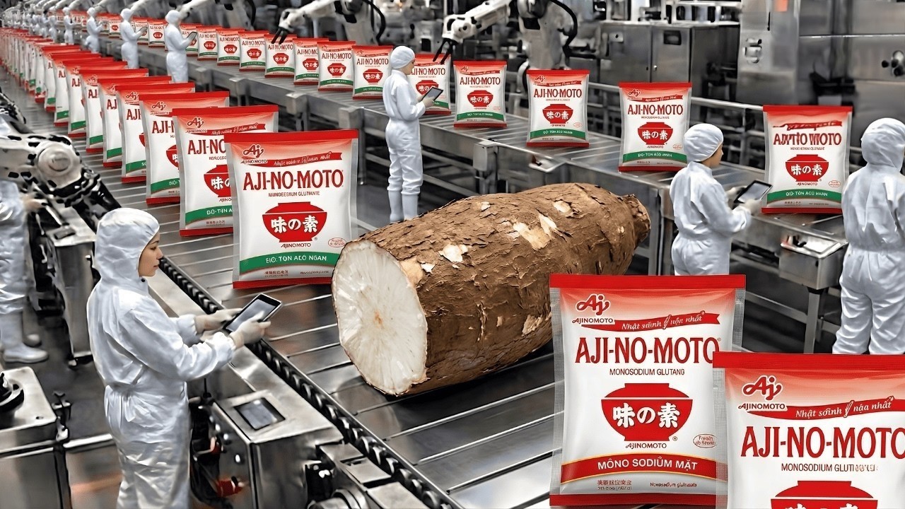 Внутри гигантского завода Ajinomoto: технология производства глутамата натрия из маниоки (полный ...