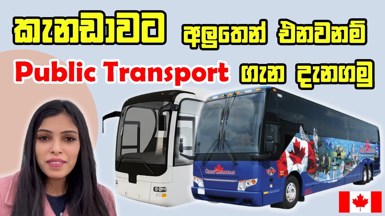 කැනඩාවට අලුතින් එනවනම් public transport ගැන දැනගෙන ඉන්න ඕනේ හැමදේම| public transport in Canada
