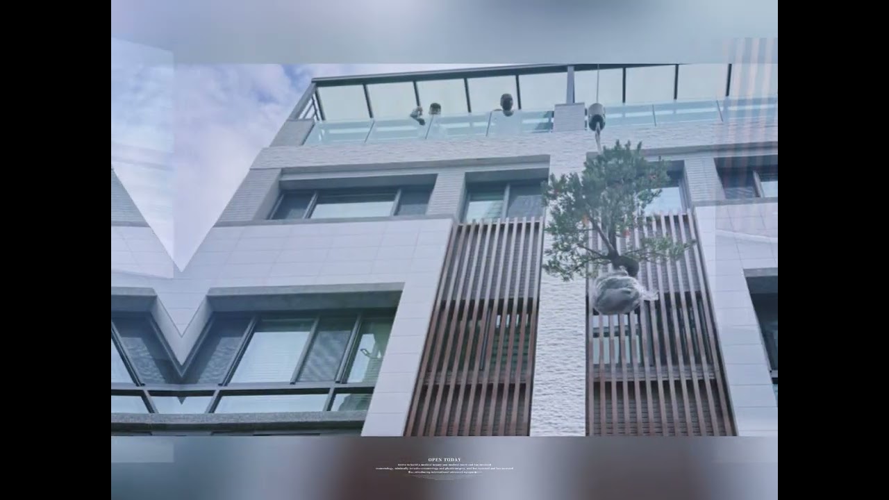 新年前在台中種下藍羅漢松、真柏、圓滿與雲朵羅漢松 🌿願新的一年平安順遂、生意興隆、好運滿滿 🧧🍀