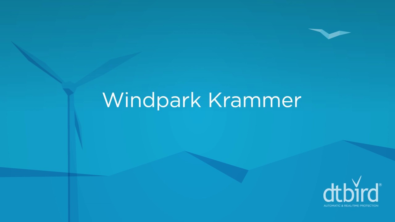 Real-Time Wildlife Detection: Protecting White-Taile Eagles at Windpark Krammer with DTBird
