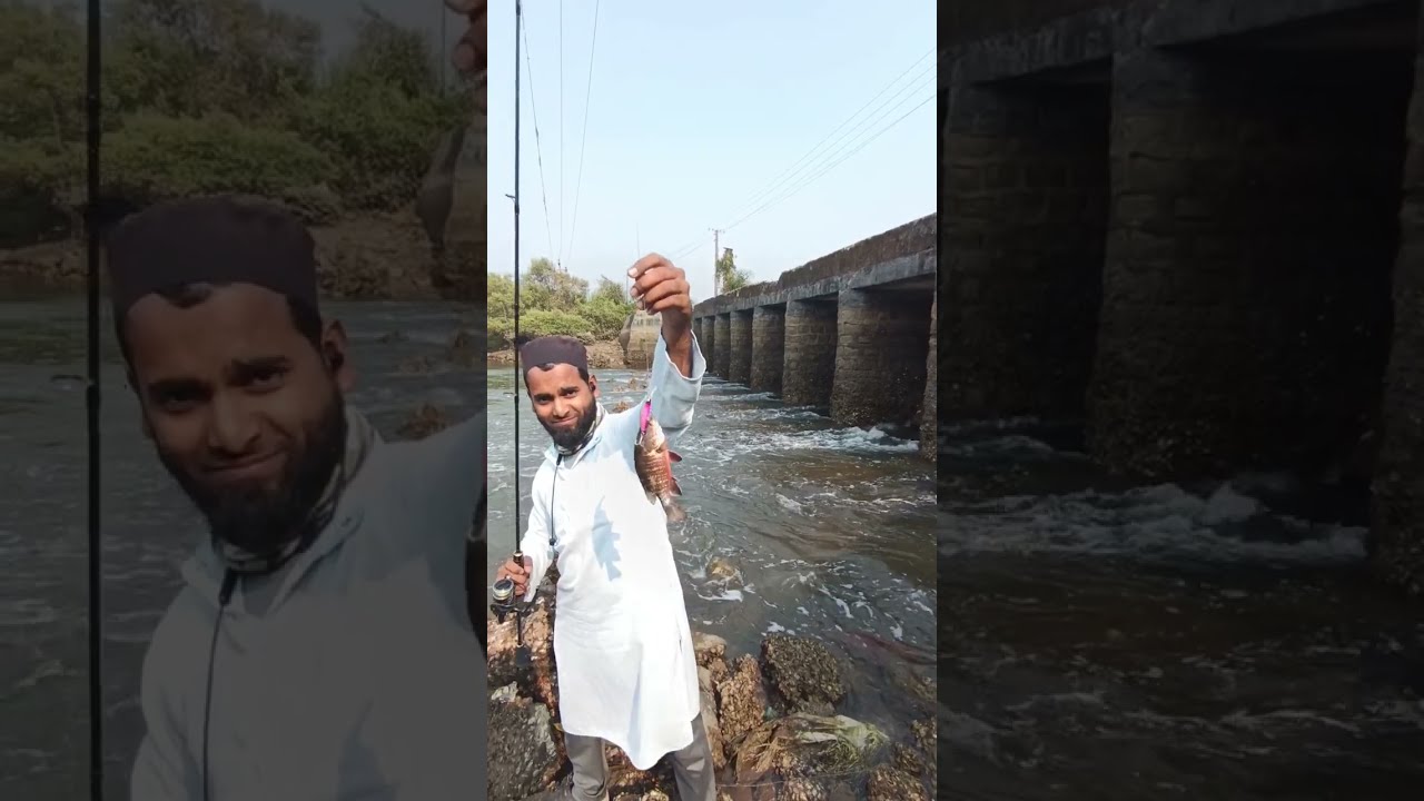 Live fishing bite 😀💪 Snapper 🎣 catch