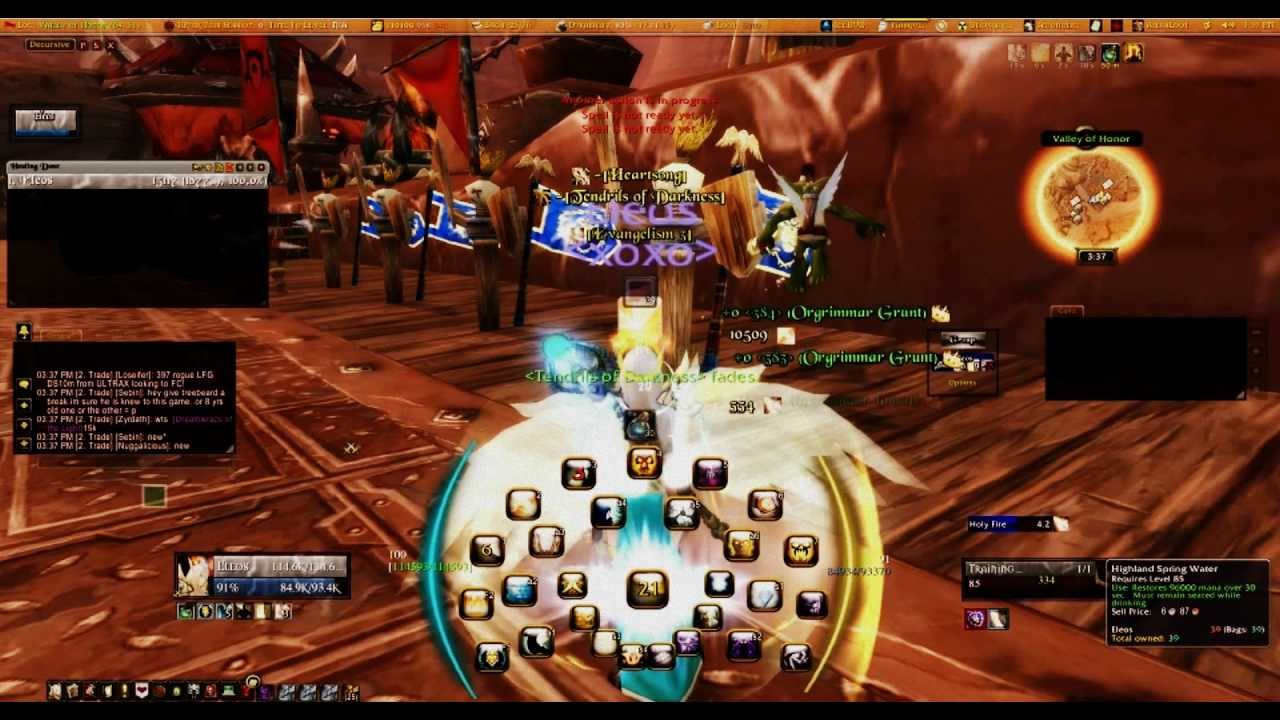 Disc Priest User Interface