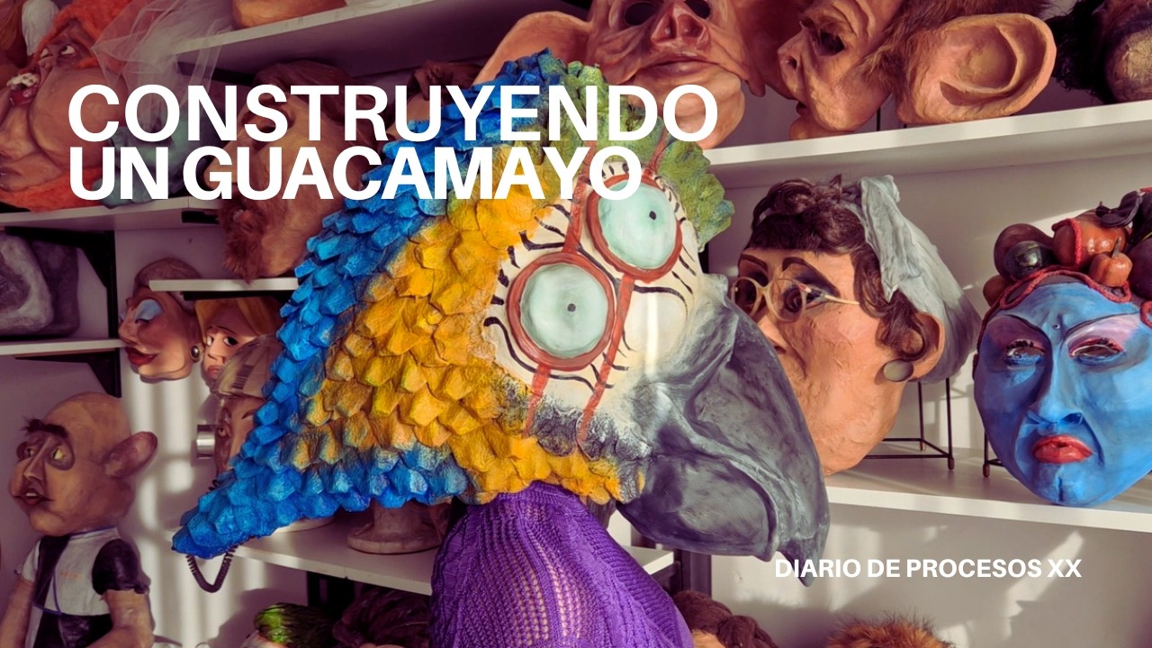 Diario de Proceso XX – El guacamayo y un proyecto secreto