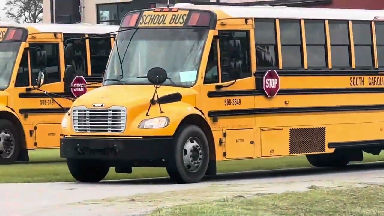 Various School buses 8-3-23