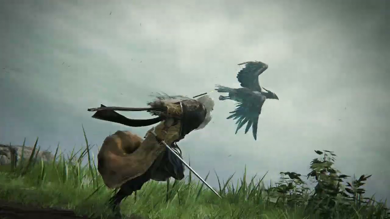 Nightreign Everdark Balancers (No commentary)