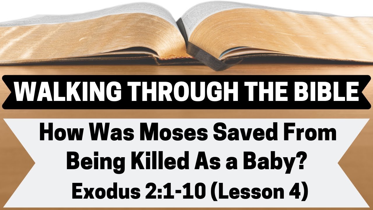 How Was Moses Saved From Being Killed As a Baby? [Exodus 2:1-10][Lesson 4][W.T.T.B.]