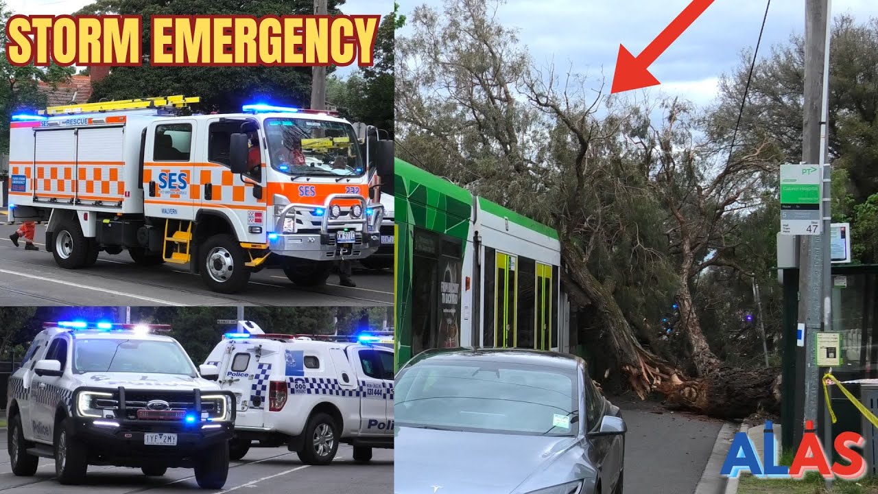 MELBOURNE WILD WEATHER: SES Respond to Large Trees Fallen onto Tram in Malvern! | AL&S