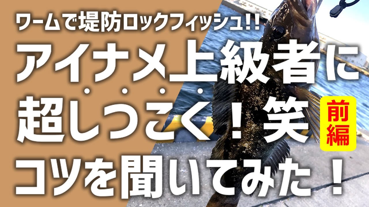 ロックフィッシュ＠青森八戸岩手「アイナメ釣り上級者に”超しつこく質問”してみた！笑」(前編)ワームでアイナメ(アブラメ)が釣れない人必見！