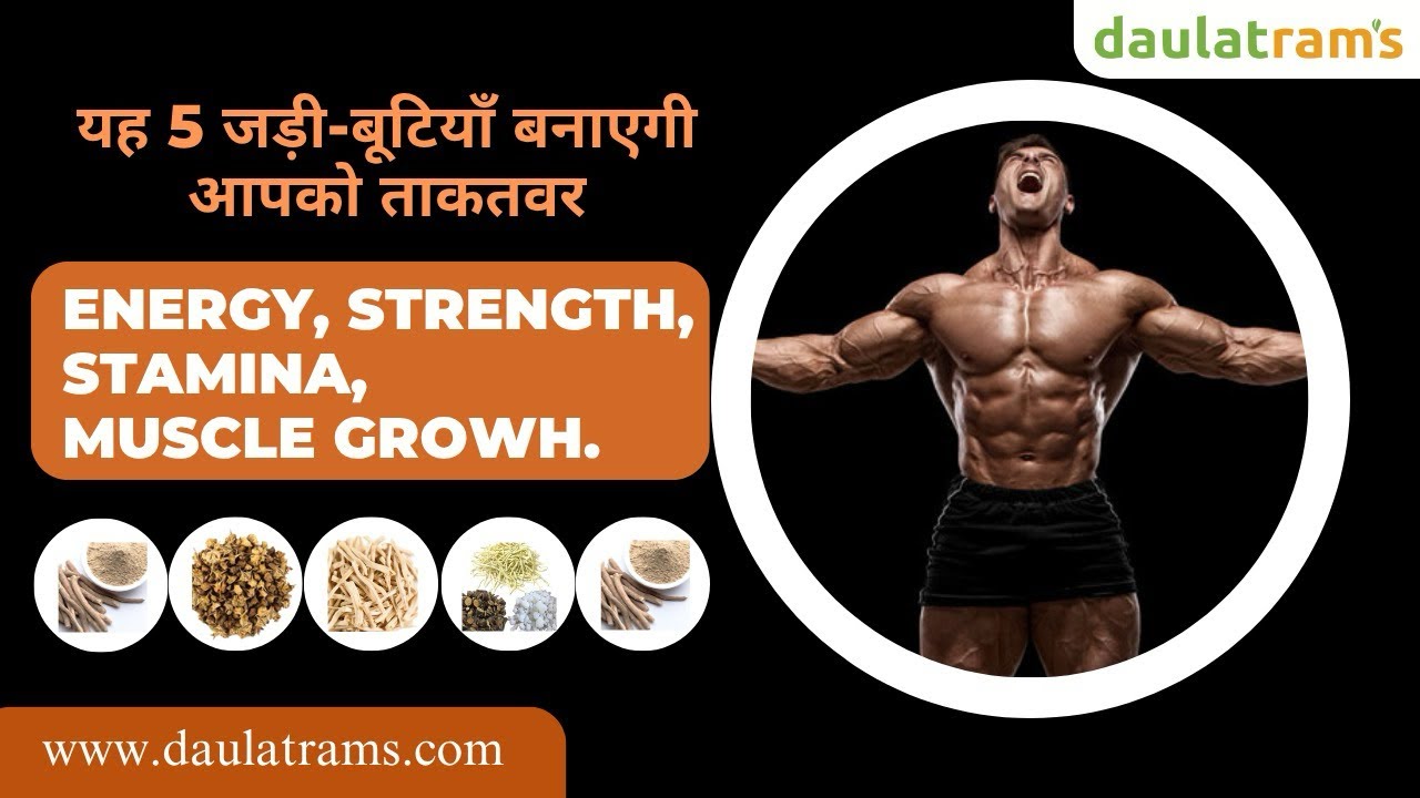 Top 5 Herbs for Muscle Building💪| यहाँ मिलती है बॉडी बनाने वाली जड़ीबूटिया | daulatram&rsquo;s 