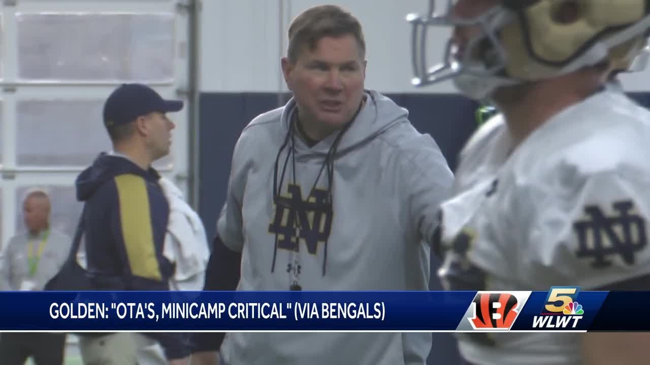 Notre Dame defensive coordinator Al Golden joining Bengals as DC