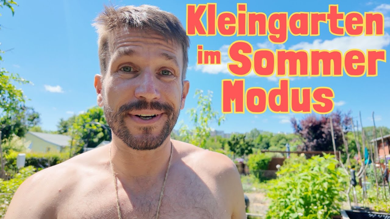 Gartenrundgang: Entdecke die Vielfalt in meinem Berliner Kleingarten 🌾 Gartenarbeiten im Juni
