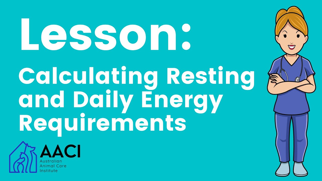 Calculating Resting and Daily Energy Requirements