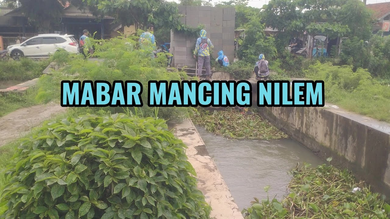 MANCING BARENG IKAN NILEM