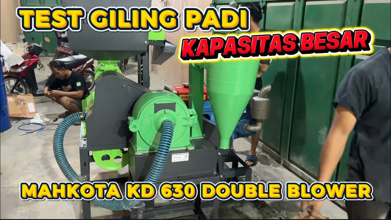 Padi Asli Digiling Pakai Mahkota KD 630, Dedaknya Halus Bos!