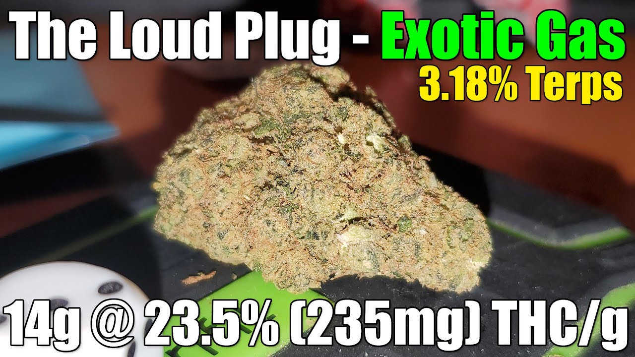 The Loud Plug - Exotic Gas - Review - 14g @ 25.3% (253mg) THC/g | 3.18% Terps (+Extreme Closeups)