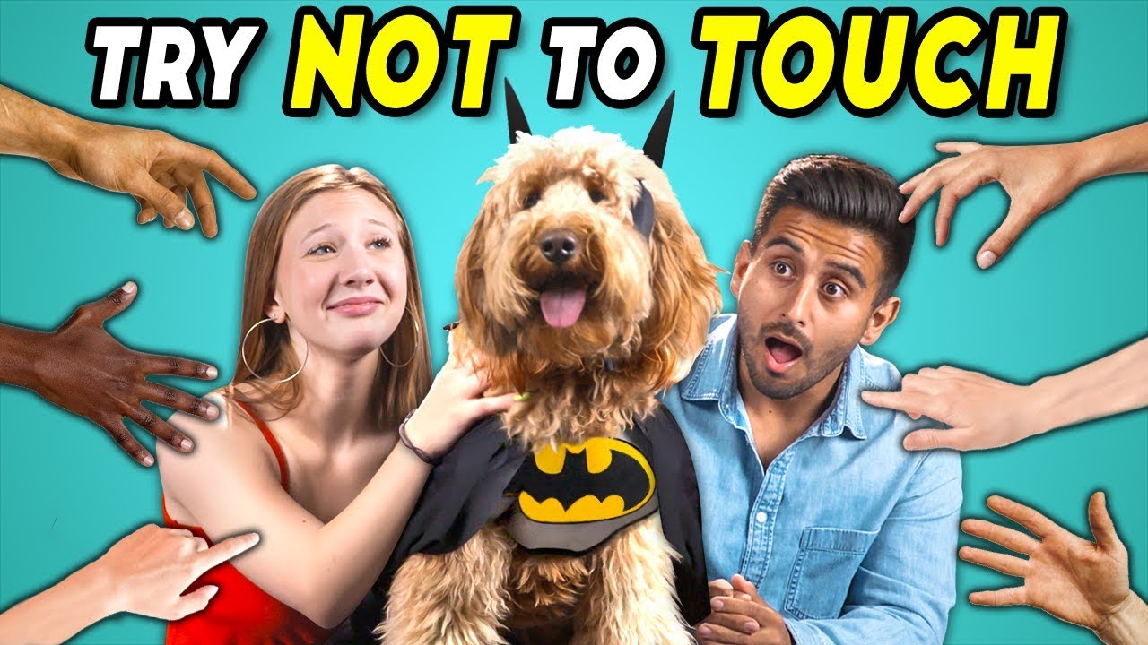 Try Not To Touch Challenge #4 | Dogs Try Cosplay (Pawsplay Edition)