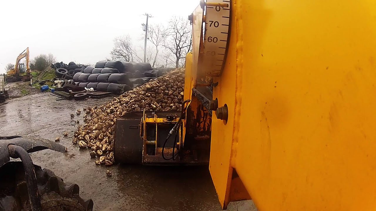 Chopping Beet 2016|GOPRO