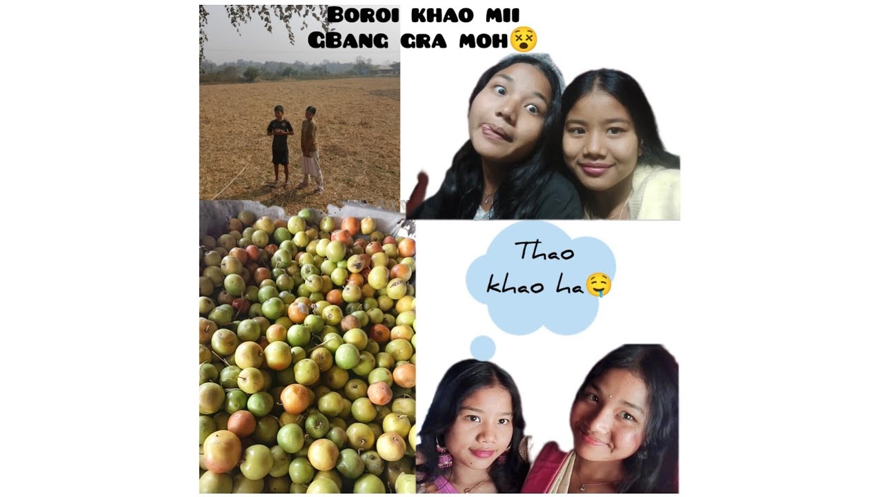 Boroi khao ni thang laimi 😋🙌#jujubefruit #Twirbooma #southtripura 