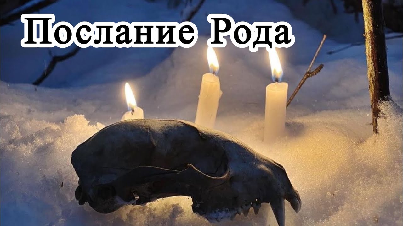 ПОСЛАНИЕ РОДА. Древняя Сила пробудилась. Шок. Таро расклад.