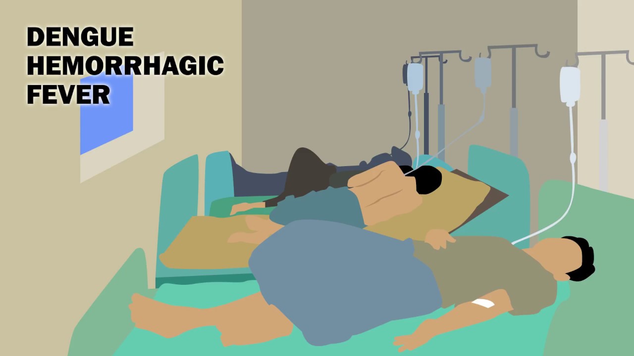 DENGUE FEVER PATHOPHYSIOLOGY