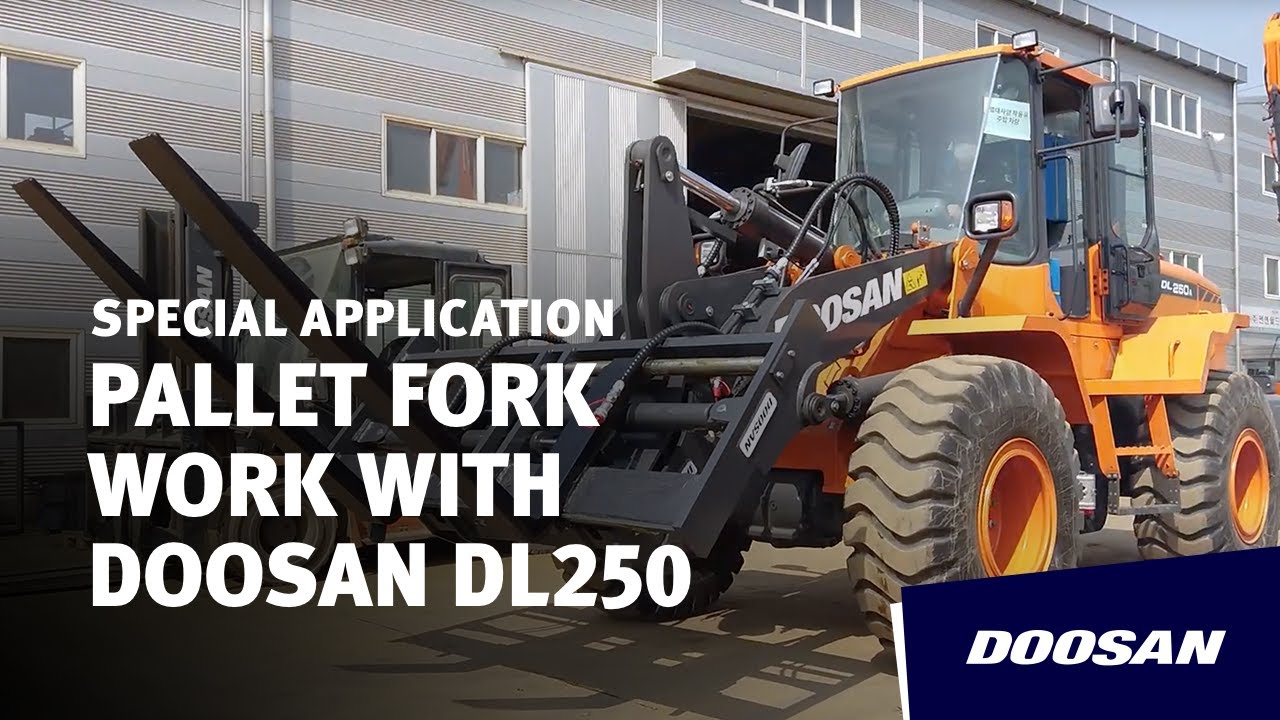 Pallet Fork with DL250A