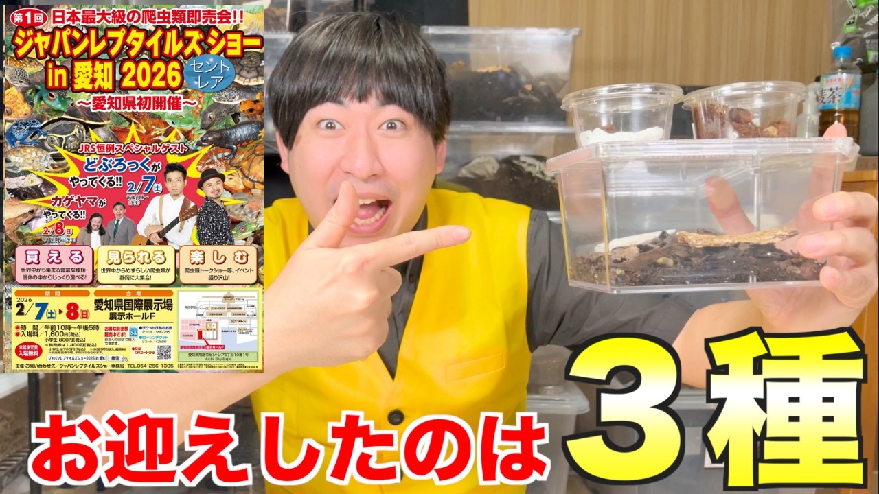 愛知から最高の生体をお持ち帰りしました！！！